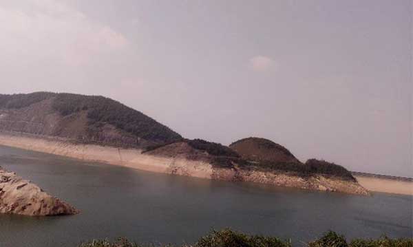 黑麋峰峰頂 綠樹蔥蔥，空氣都是甜的